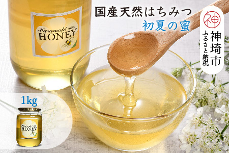 2025年産【数量限定】国産天然蜂蜜(初夏の蜜)1kg (H049118)