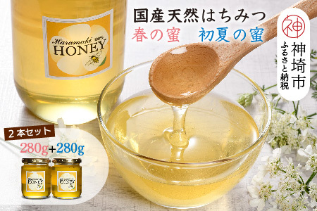 2025年産【春&初夏の蜜セット】国産天然蜂蜜 春の蜜280g&初夏の蜜280g(H049129)