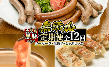 a888 《定期便全12回》鹿児島黒豚「短鼻豚」無添加ソーセージ＆生餃子＆しゃぶしゃぶ【鹿児島ますや】