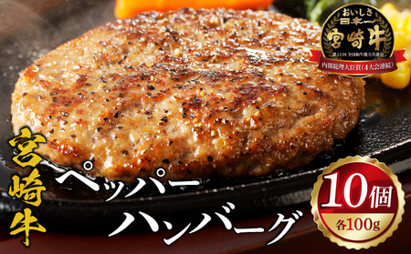 宮崎牛ペッパーハンバーグ 100ｇ 10個入