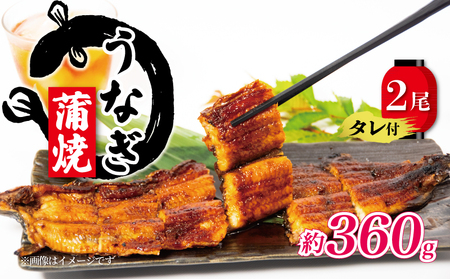 国産 うなぎ 蒲焼 180g × 2尾 うなぎ うなぎ うなぎ うなぎ うなぎ