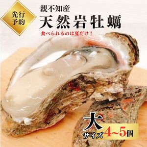 【先行予約】親不知産 天然岩牡蠣(生食用) 大サイズ４～５個 2026年7月中旬以降順次発送 鮮度抜群！ 水揚げ直後に発送 日本海 かき カキ 岩ガキ
