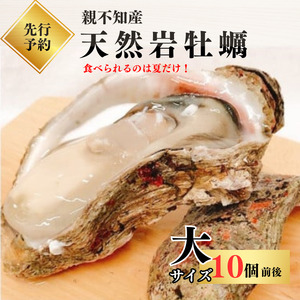 【先行予約】親不知産 天然岩牡蠣(生食用) 大サイズ10個前後 2026年7月中旬以降順次発送 鮮度抜群！ 水揚げ直後に発送 日本海 かき カキ 岩ガキ