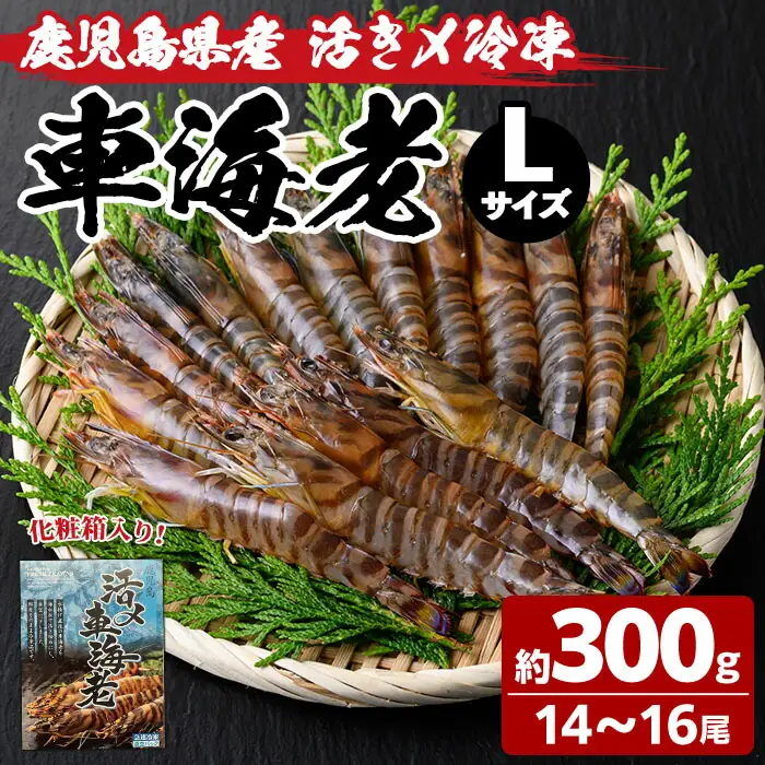 n211 車海老 Lサイズ・14～16尾 冷凍 海老【車海老日本株式会社】