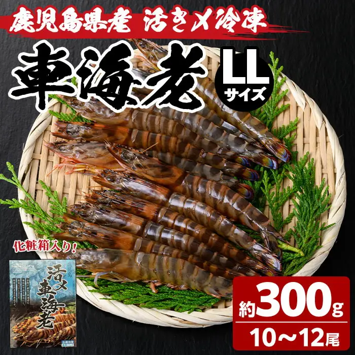 【車海老日本株式会社】 くるまえび LLサイズ・10～12尾 冷凍 n212