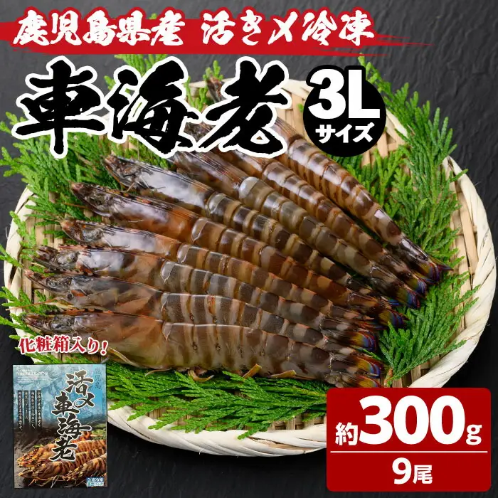 n213 車海老 3Lサイズ・9尾 冷凍 海老【車海老日本株式会社】