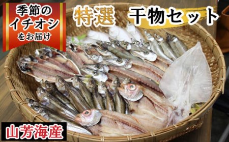 特選干物セット【干物 干もの ひもの 冷凍 詰め合わせ 詰合せ セット 特選 旬 季節 地場産品 ご当地 おまかせ ギフト お歳暮 お中元 お取り寄せ 山陰 日本海 鳥取県 日吉津村】