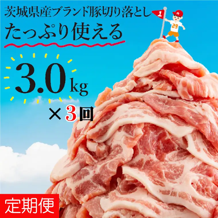 【数量限定】【3か月定期便】【リピーター続出！】茨城県産ブランド豚切り落とし計9kg(3kg×3回)（EC-102）