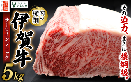 【肉の横綱】伊賀牛サーロインブロック　5kg【ymmt0004】