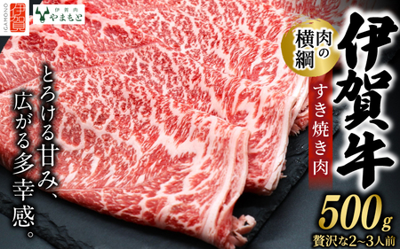 【肉の横綱】伊賀牛すき焼き肉 500g【ymmt0005】