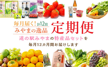 E1 【12ヶ月定期便】毎月届くみやまの逸品 特産品 野菜 果物 フルーツ 米 酒 味噌 茶 旬