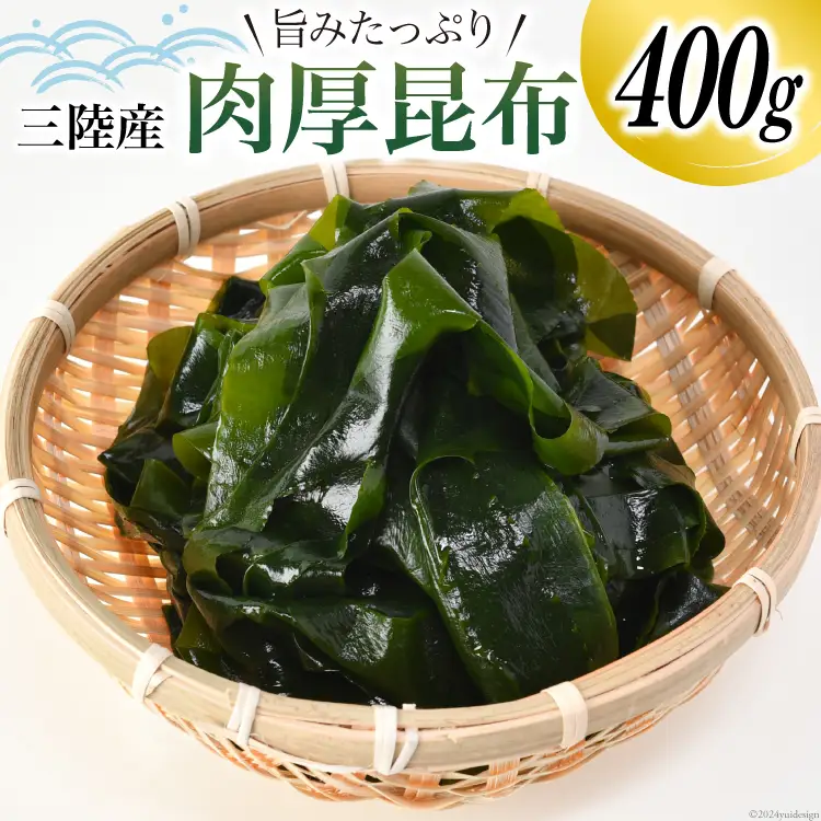 三陸産 肉厚 昆布 400g [川村海産 宮城県 気仙沼市 20564661]