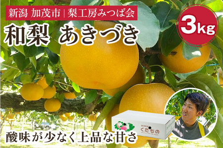 【2026年先行予約】新潟県産 和梨 あきづき 3kg（5〜10玉）《9月中旬以降発送》 梨工房みつば会