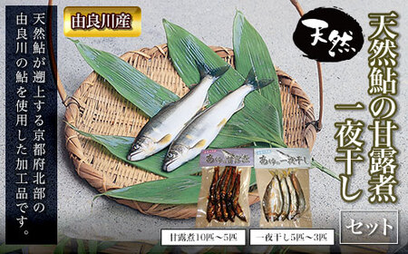 ＜由良川産＞天然鮎の甘露煮・一夜干しセット (一夜干し3～5匹・甘露煮5～10匹) ふるさと納税 福知山市 鮎 あゆ 天然 【fc-ZF004】【由良川漁業協同組合】