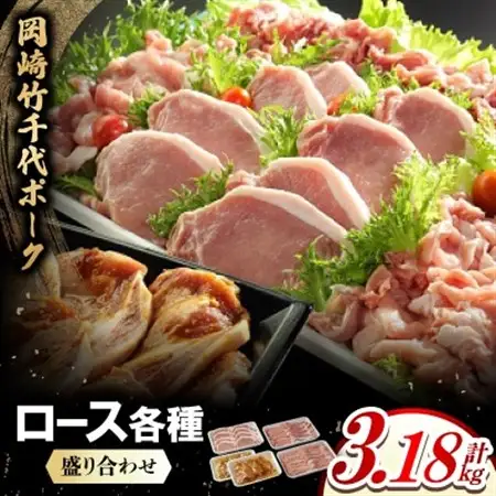 岡崎竹千代ポークロース各種　盛り合わせ(計3.18kg)【配送不可地域：離島】【1407292】