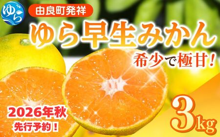 ゆら早生 みかん  3kg ※2026年10月上旬頃～10月下旬頃に順次発送予定 【kzmn003-r-3】