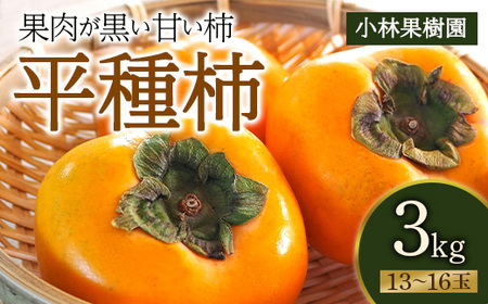 【小林果樹園】樹上脱渋 平種柿 3kg（13～16玉） F20C-596