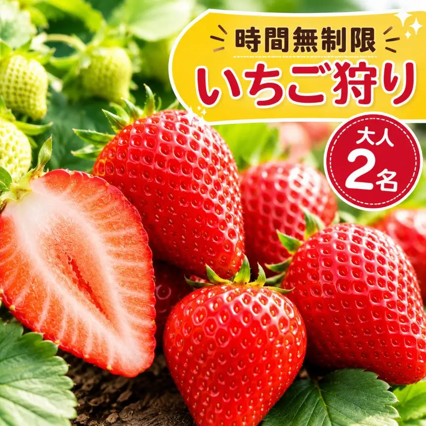 【先行予約】「いちご狩り体験チケット」入園券大人2名
