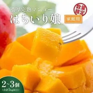【数量限定/先行予約】マンゴー「はちいり（鉢入り）娘」（ご家庭用1kg箱入り）