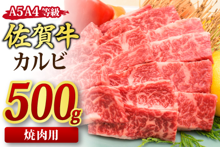 【スピード発送】佐賀牛 カルビ 焼肉用 500g 【A4～A5ランク 国産黒毛和牛】(H085176)