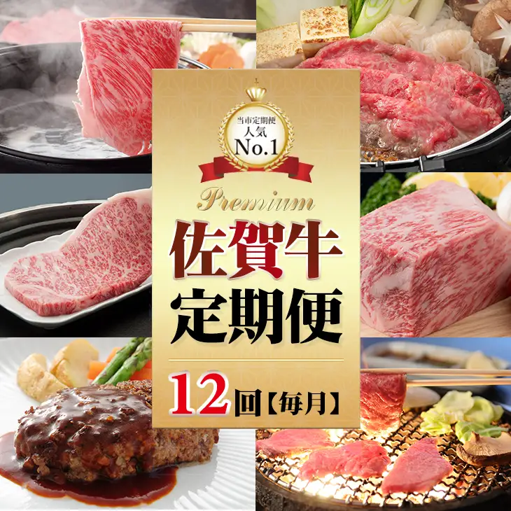 【12回定期便】佐賀牛 Q264-001 牛肉 定期便