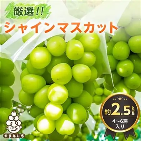 2026年発送 山梨県産 シャインマスカット 約2.5kg(4～6房) 山梨が誇る 人気果物【配送不可地域：離島・沖縄県】【1272527】