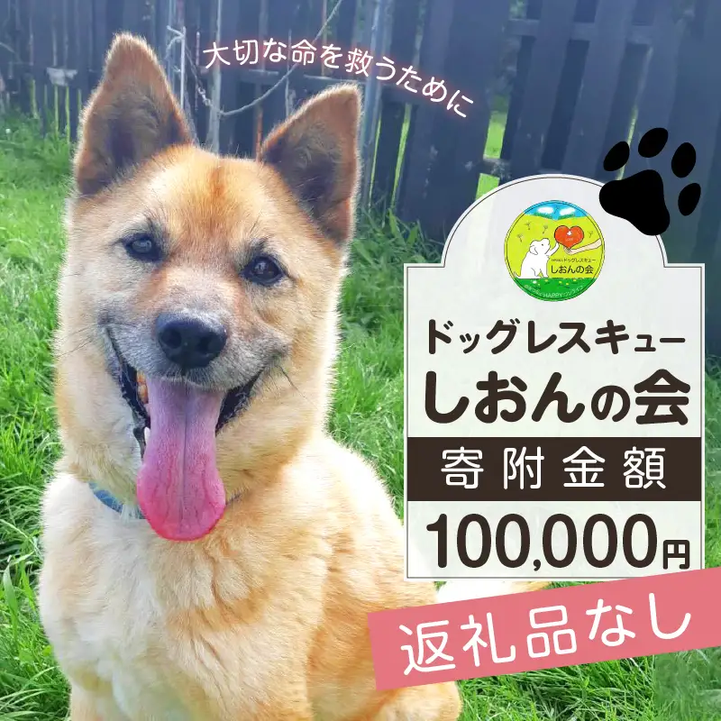 【野犬の保護活動】浜中町「ドッグレスキューしおんの会」を支援　100000円分 返礼品なし_H0039-009