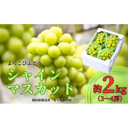 もりおか農園のよろこびぶどう シャインマスカット 約2kg 3～4房 【先行予約 10月上旬 から順次発送】