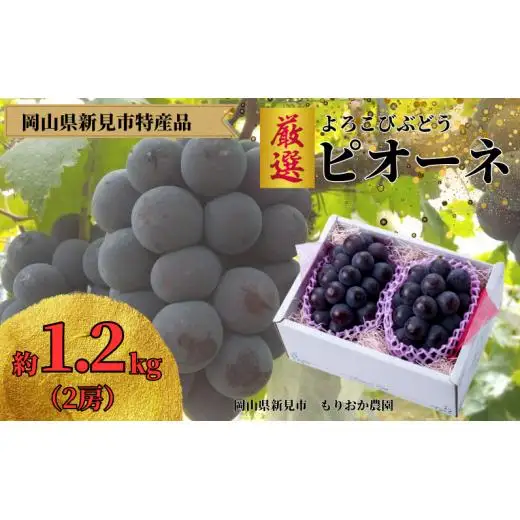 もりおか農園のよろこびぶどう 厳選ピオーネ 約1.2kg 2房 【先行予約 9月上旬から順次発送】