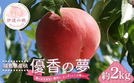 【2026年出荷分先行予約】福島県産 優香の夢（ゆうかのゆめ） 約2kg (6～9玉) 高橋もも園 ゆうかのゆめ 伊達市で開発 数量限定 伊達の桃 桃 フルーツ 果物 もも モモ momo F20C-729