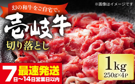 壱岐牛 切り落し （250g×4パック） [JEP004] 切り落し