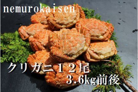 【北海道根室産】クリガニ12尾(計3.6kg前後) D-57030