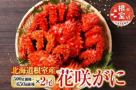 【北海道根室産】花咲かに500g前後～650g前後×2尾 B-76028