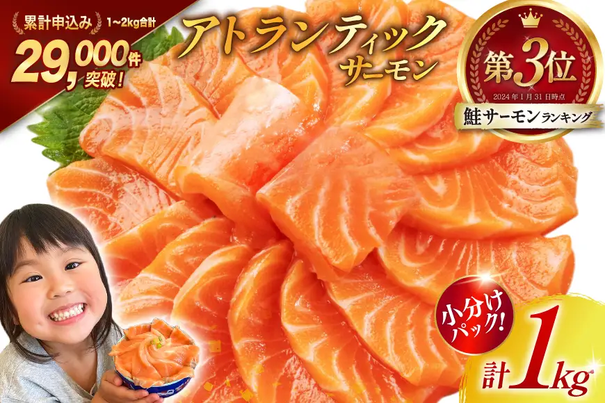 ノルウェー産 アトランティックサーモン 総重量 1kg 小分け サーモン [宮城県 気仙沼市 20565509]