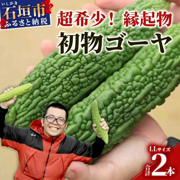 【予約受付】 贈答用 「初物ゴーヤ」 OI-1