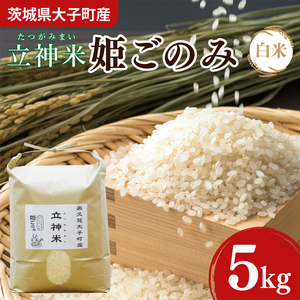 令和7年産 立神米「姫ごのみ」（白米）5kg｜茨城県 大子町 コシヒカリ 米 コンテスト 受賞 生産者 大子産米 産地直送（BT045-1）