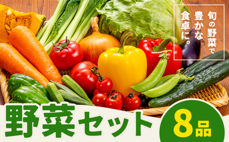 野菜セット 8品 養生市場 詰め合わせ セット 品種おまかせ 有限会社七城町特産品センター《90日以内に出荷予定(土日祝除く)》熊本県 菊池市 ランダム 野菜 旬の野菜 九州産 熊本県産