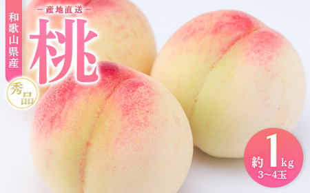 【産地直送】和歌山県産 桃 約1kg（3～4玉）秀品 もも