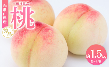【産地直送】和歌山県産 桃 約1.5kg（5～6玉）秀品 もも