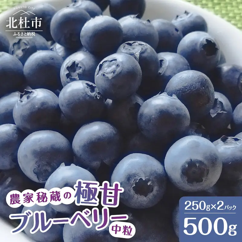 【2026年先行予約】農家秘蔵の極甘ブルーベリー 中粒500g（250g×2パック） ベリー [h186003]