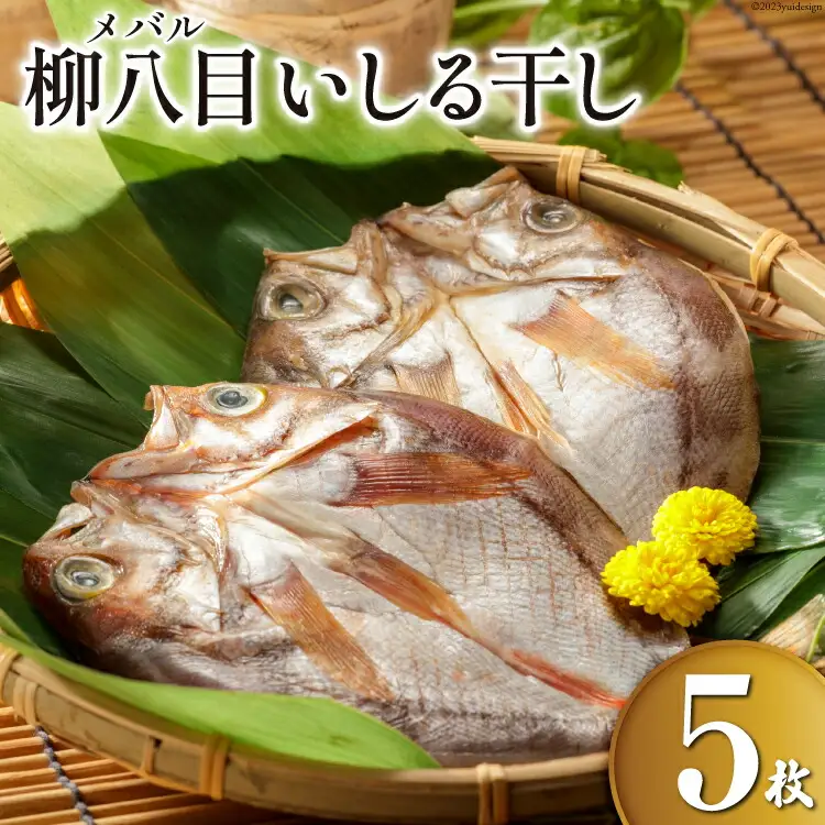 【期間限定】柳八目（メバル）いしる干し 5枚 [能西水産 石川県 志賀町 AD4112]