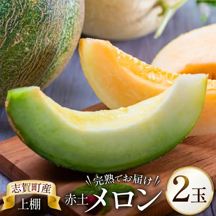 【期間限定】上棚赤土 メロン 2玉 [米吉農園 石川県 志賀町 BA4127]