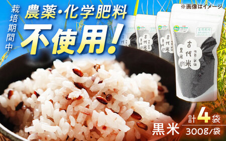 雑穀 古代米 黒米 1.2kg /永尾 忠則 [UAS010] 雑穀米