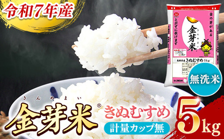 BG無洗米・金芽米きぬむすめ 5kg  ［令和7年産］計量カップ無し【節水 健康 ビタミン ミネラル つや お弁当 おいしい うまみ 甘み ふっくら 時短 簡単 島根県 安来市】【価格改定XB】【15-SS-10-2】