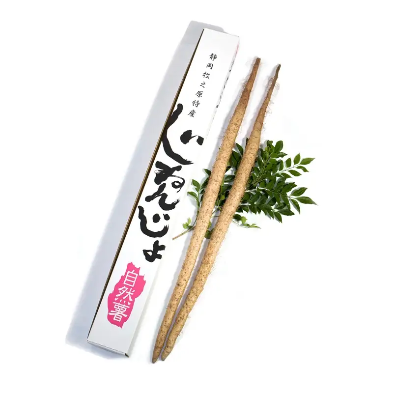 【R8年12月上旬からの発送】 自然薯 1ｋｇ 丁子屋が選んだ 自然薯