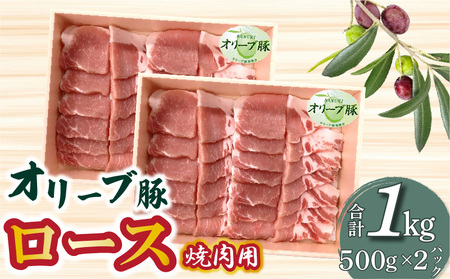 香川県産 オリーブ豚 ロース 焼肉用 1000g
