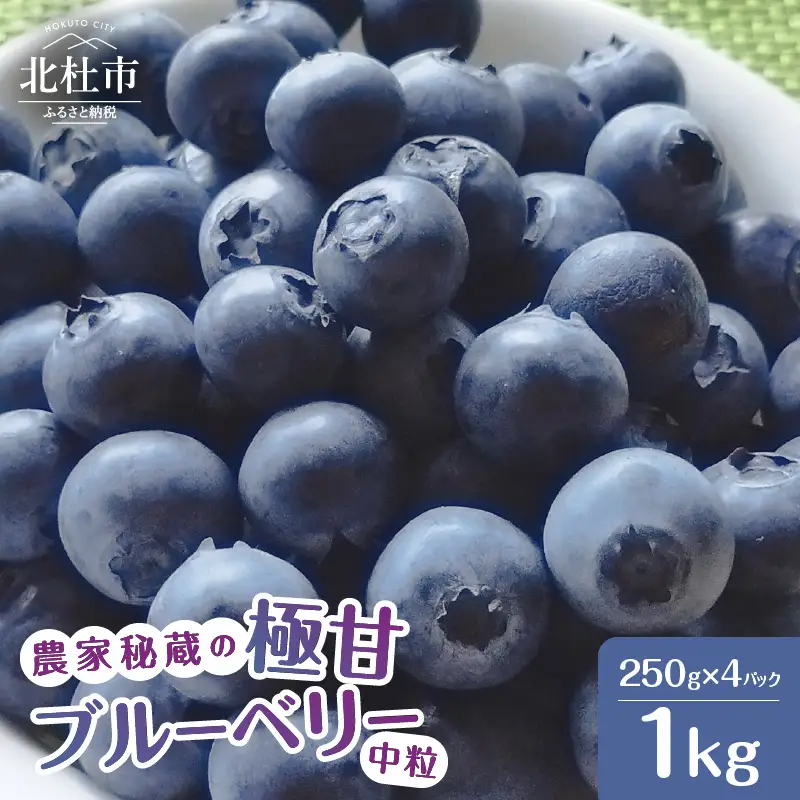 【2026年先行予約】農家秘蔵の極甘ブルーベリー 中粒1kg（250g×4パック） ベリー [h186004]
