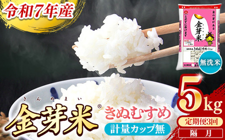 【定期便】BG無洗米・金芽米きぬむすめ 5kg×3回 （隔月）計量カップ無し 令和7年産 2ヶ月に1回 6ヶ月 計15kg 東洋ライス 健康 島根県 安来市 【価格変更】【45-SS-18-2】