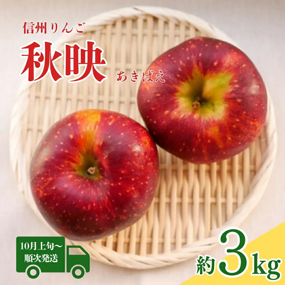 【2026年先行予約】秋映 約3kg|りんご りんご