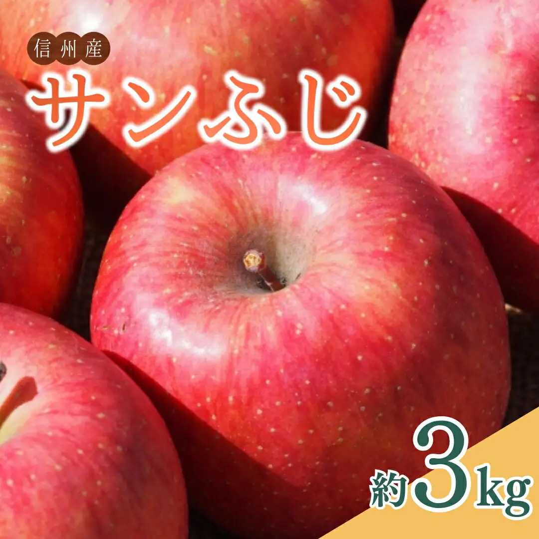 【2026年先行予約】サンふじ 約3kg| りんご りんご
